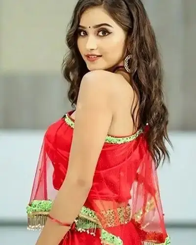 Call Girls Service Virudhachalam